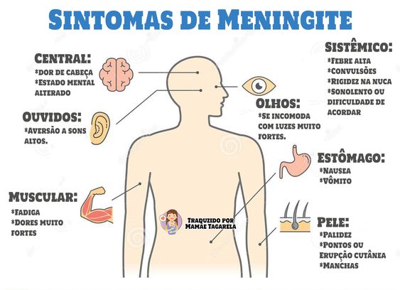Meningite - como evitar pegar meningite , vacinas de meningite e muitos outros detalhes.