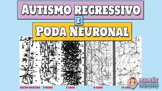 Autismo regressivo e poda neuronal - meu filho parou de falar com 2 anos.