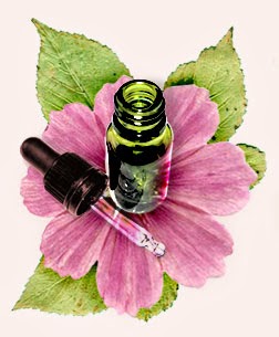 Florais de Bach Para Bebês e Crianças