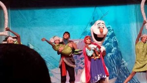 2- frozen um musical congelante teatro rio de janeiro