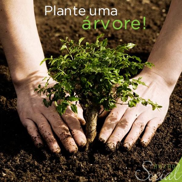 Plante Uma Árvore e Garanta o Futuro dos Seus Filhos e Netos