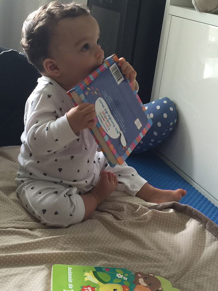 foto 10 concurso quiet book mamae tagarela