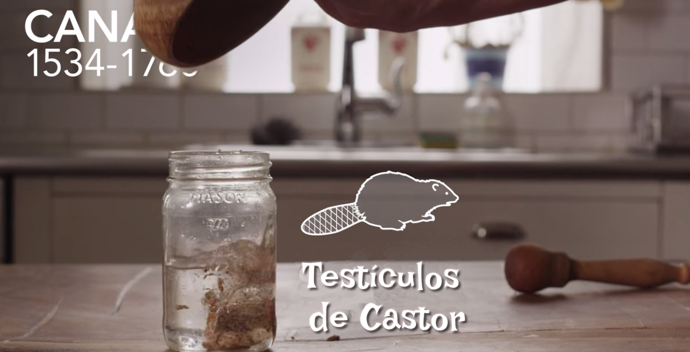 Testiculos de Castor e alcool 13 Maneiras Mais Estranhas de Evitar Gravidez na Historia