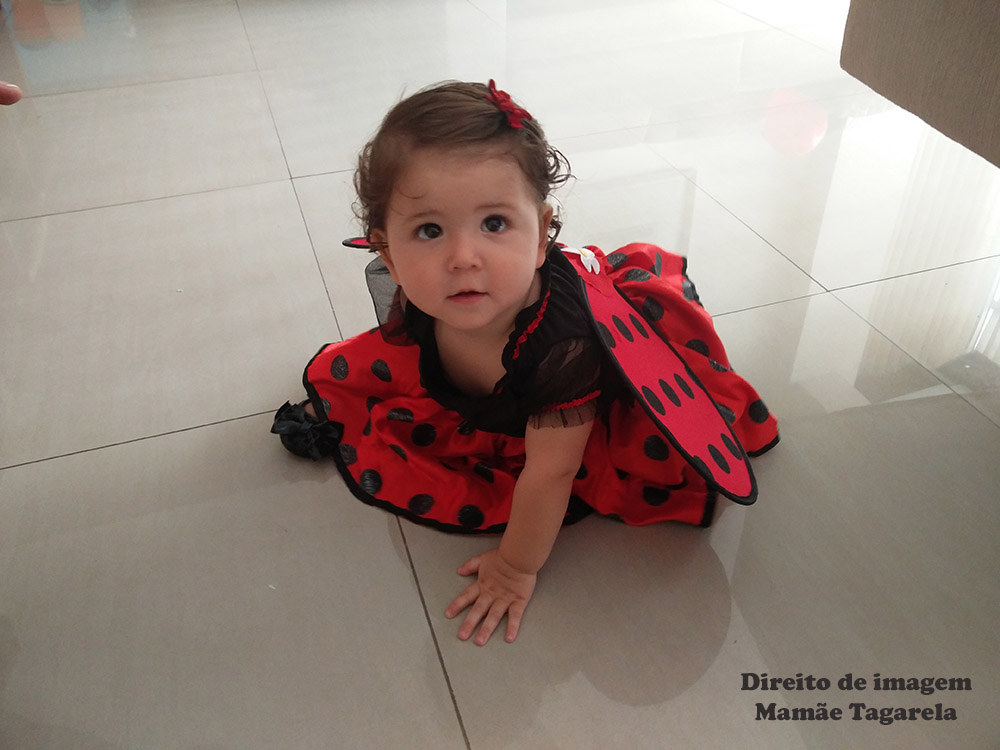 festa da joaninha mia de joaninha